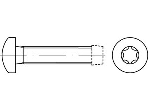 DIN 7500 CE TX gewindefurchende Schraube Linsenkopf Stahl verzinkt M 4x25