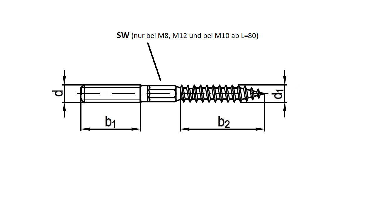 Stockschrauben A2 6x100 mm (ohne Schlüsselführung)